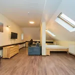 Bielsko Apartments *